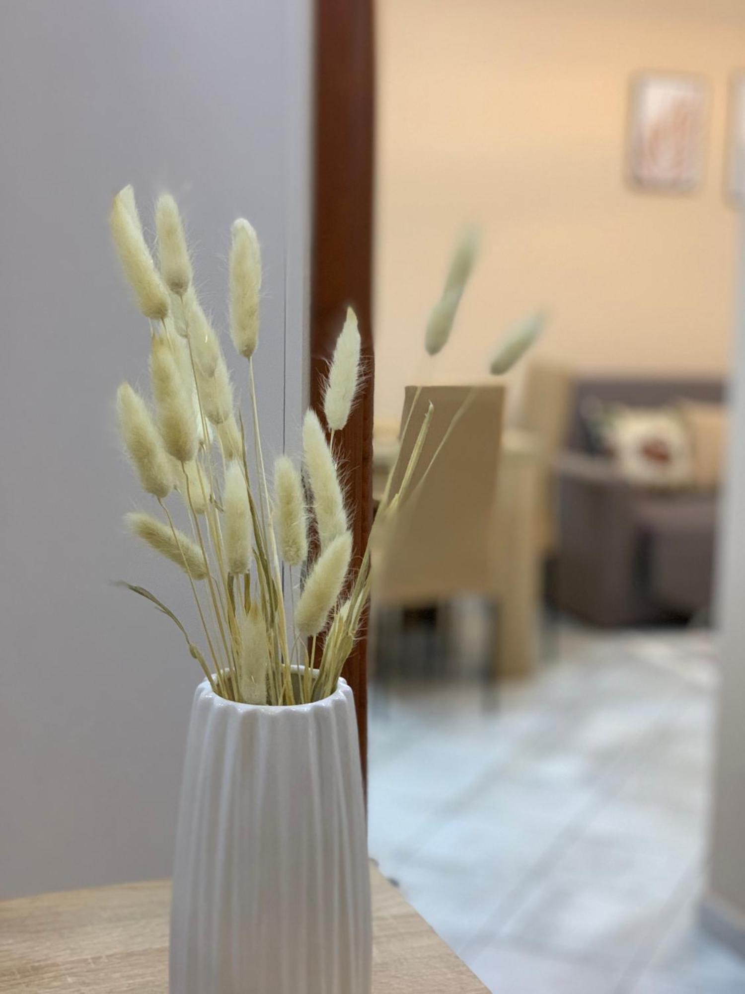 Ridi'S Comfort Apartment Shkoder Exterior photo
