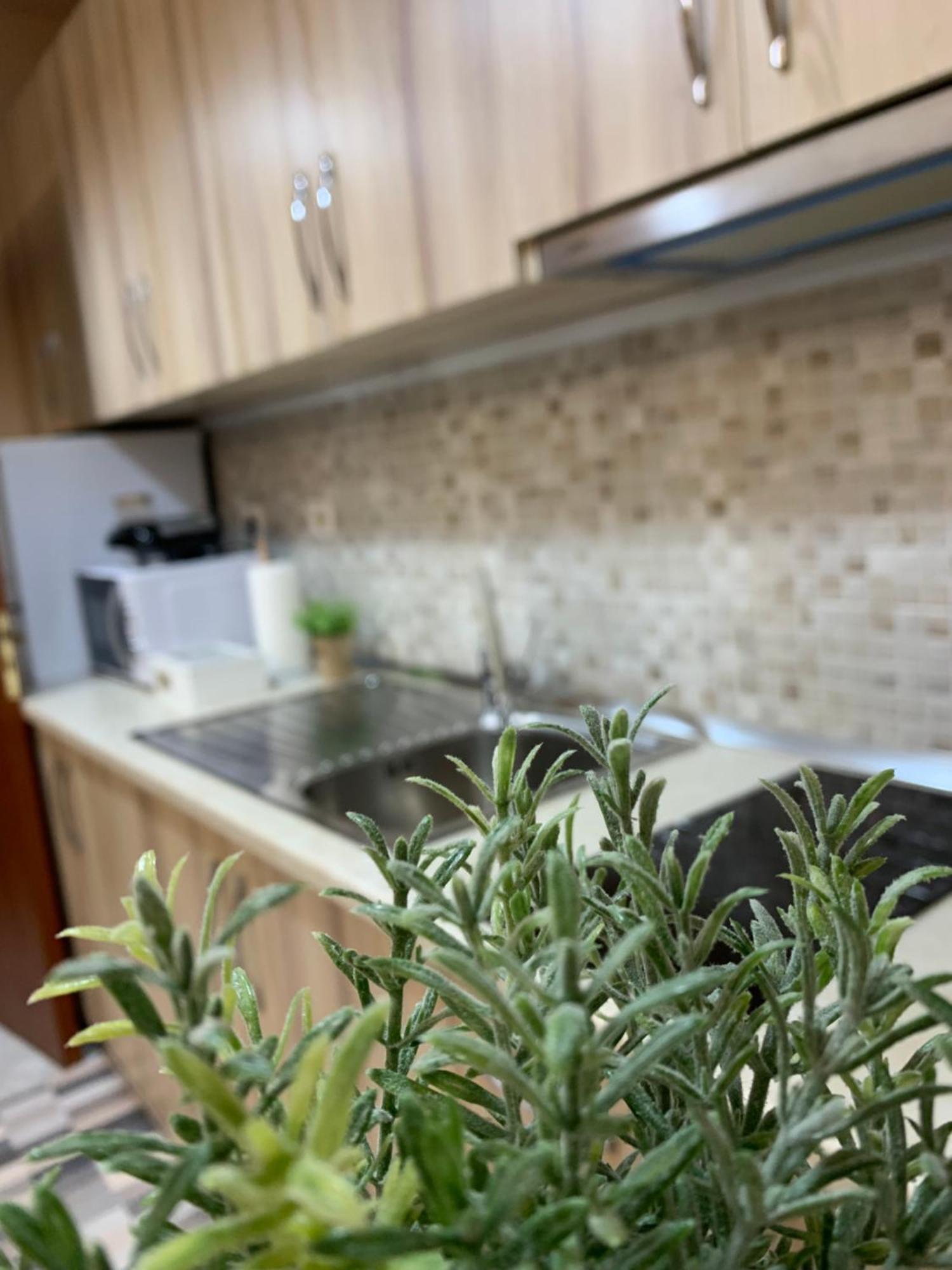 Ridi'S Comfort Apartment Shkoder Exterior photo